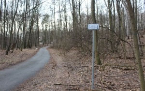 „Park Wiedzy i Rekreacji w Bytomiu - Suchej Górze Geograficzne serce Górnego Śląska” w Suchogórskim Labiryncie Skalnym (3)